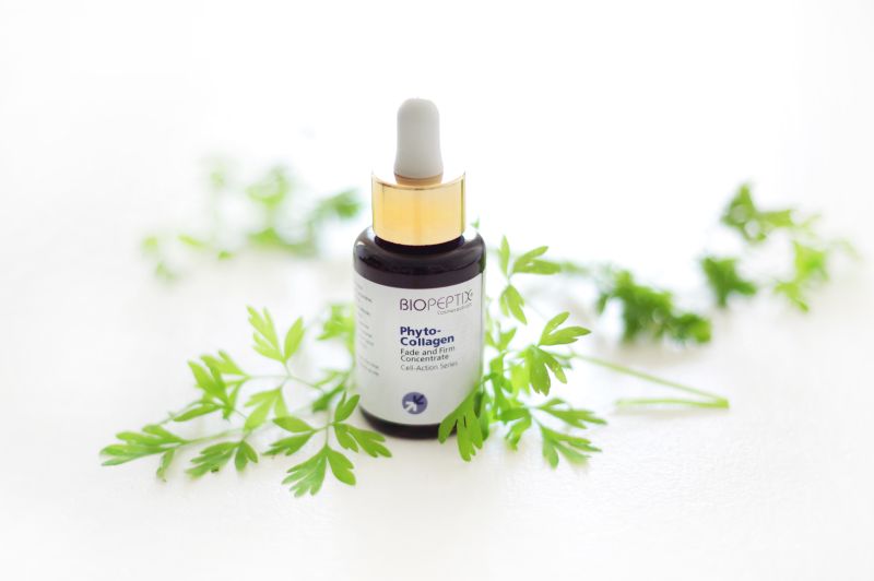 Phyto-Collagen Serum